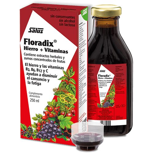 Floradix líquido - 250 ml - Salus