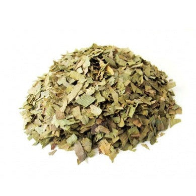 GINKO BILOBA GRANEL 10gr