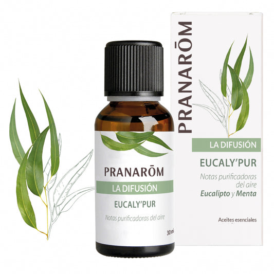 EUCALY'PUR - mezcla de aceites esenciales para difusor - Pranarom